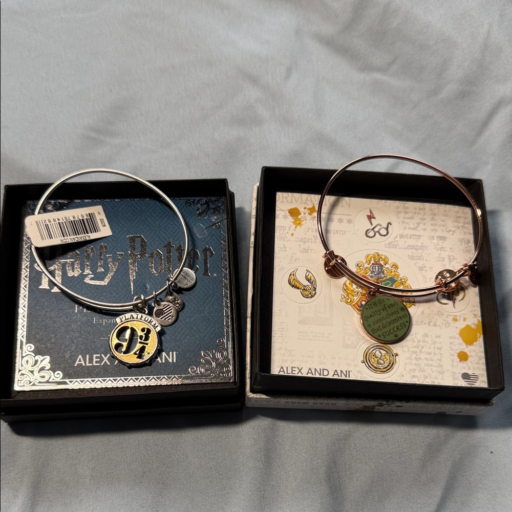 Alex and Ani Harry Potter Charm Bracelets - Silver and rose gold
